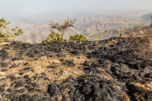Burned Land After A Wild Fire In Simien Mountains, Ethiopia