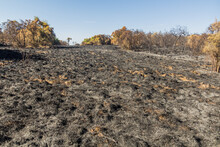 Burned Land After A Wild Fire In Simien Mountains, Ethiopia