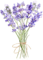 Wall Mural - Watercolor lavender bouquet, Provence flowers