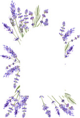 Wall Mural - Watercolor lavender frame, Provence flowers, for wedding invitations