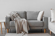 © Pixel-Shot - Grey sofa with cushion and plaid in light living room