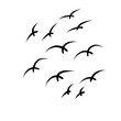 flying bird illustration
