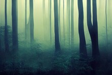 A Mystical Forest With Fog And Shining Behind Trees