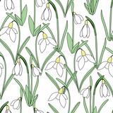 Fototapeta Tulipany - Seamless endless vector pattern, delicate snowdrops on a white background.