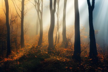 Poster - Magic dark forest. Autumn forest scenery with rays of warm light. Mistic forest. Beskid Mountains. Poland