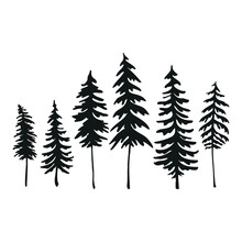 Pine Trees And Camp Image Design. Tall Pine Trees Standing Side By Side Black And White Vector