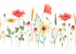 Beautiful floral horizontal seamless pattern with watercolor hand drawn field wild flowers. Stock illustration.