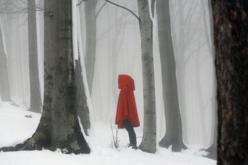 Wall Mural - Red hooded person in a misty forest