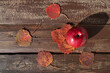 brązowe deski i liście 4 jablko