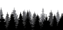 Forest, Fir Trees Silhouette Design Isolated Vector