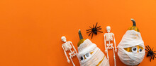 Cute Halloween Background With Mummy Pumpkins, Skeletons And Spiders