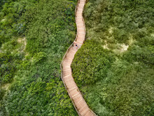Aerial View Couple Walking On Wooden Boardwalk Among Green Trees