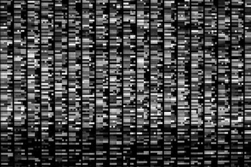Wall Mural - pixel pattern of a digital glitch / abstract black and white pixel pattern background of a digital g