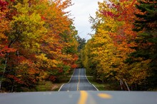 Empty Road Passing Through Colorful Autumn Trees At Baxter State Park, Maine United States