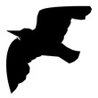 Eagle Flat Vector Icon