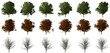 ash isolated big tree collection isolated transparent