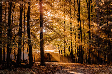 Cabbin in the wood Hütte im Wald