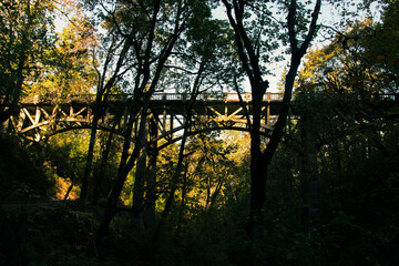 Wall Mural - A lattice bridge connecting over a valley, with dappled light and trees. A bridge is near the Latourell Waterfall in Oregon. 