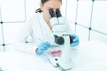 Poster - female laboratory assistant in a medical dermatology laboratory examines skin microflora cultures for pathogenic diseases