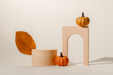 Podium With Autumn Leaf And Pumpkins Decoration With Shadows. Showcase For Product Presentation