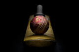 Fototapeta Zwierzęta - Red leather cricket ball on a cricket bat front view