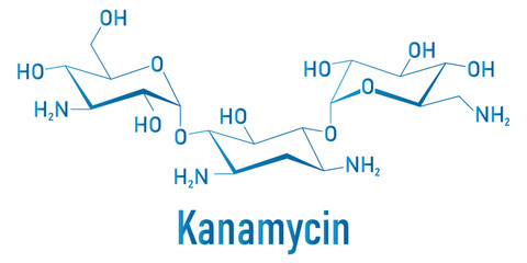 Poster - Kanamycin antibiotic drug molecule (aminoglycoside). Skeletal formula.