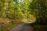 Fototapeta Sawanna - Road in the autumn forest.