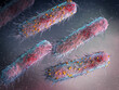 Medical background, bacteria facultative anaerobes, Salmonella, enterobacteria, rod-shaped, flagella over the entire surface, causative agent of salmonella infection, pathogen, 3D rendering