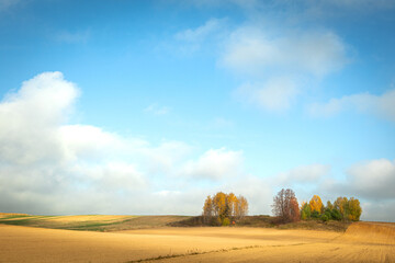 october landscape - autumn sunny day, beautiful trees with colorful leaves on the hill, poland, euro