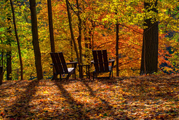Wall Mural - 2 Wooden chairs await your arrival this autumn in the forest at Letchworth State Park in Upstate NY.  Best view in the house!  Autumn colors are in view from these two Adorondak-style chairs.