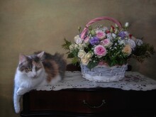 Basket Of Flowers And Pretty Tricolor Kitty