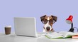 © BillionPhotos.com - Cute domestic dog at the desk with a laptop