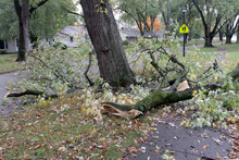 Storm Damage With Broken Limbs And Fallen Branches In A Neighborhood Street