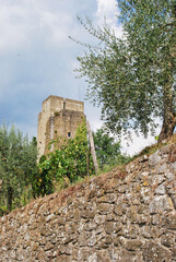 Wall Mural - Il borgo di Barbischio nel comune di Gaiole in Chianti in provincia di Siena, Italia.