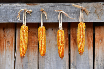 Sweetcorn
