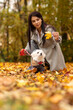 © n.tati.m - Young girl plays with Maltese dog in autumn park. Maltipoo wears warm clothing (coat, jacket,hoodie).Having fun with puppy. Taking care of little pet. Dog apparel and accessories concept. Vertical