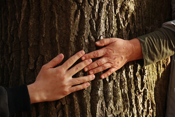 Young man right hand and woman left hand touching tree trunk. Pavel, my hand and hand of my Mother. Photo was taken 14 October 2022 year, MSK time in Russia.