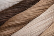 © Кузнецова Евгения - Texture or background of natural female hair of different colors. Hair extension. Donor hair.