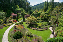 View Of Butchart Gardens In Victoria Britis Columbia Canada