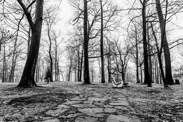  Walk In The Path
