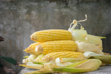 Wall Mural - Sweet Corn on white background, Yellow Sweet corn on wood  background , Yellow Corn, sweet corn, healthy organic food, bio nutrition