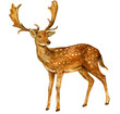 deer watercolor