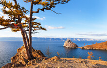 Warm Autumn On Baikal Lake. Calm Landscape Of Olkhon Island At Sunset. An Old Larch, Called Wish Tree, Growing Courageously On Bare Rock And Winds. Below - Shamanka Skala - A Natural Landmark Of Lake
