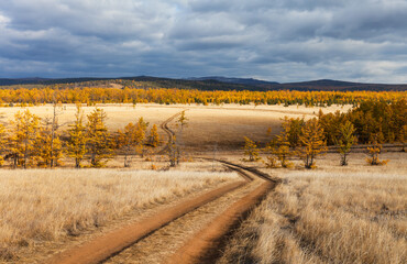 Wall Mural - coast ofbaikal lake in october. autumn trips around olkhon island. dirt road through yellowed steppe