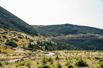 Sticker - Scenic view of green field by nature, landscapes, mountains and trees on a sunny day