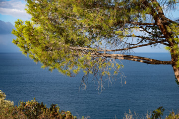 Wall Mural - coast of the Aegean