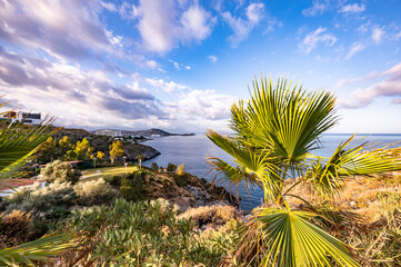 Wall Mural - coast of the Aegean