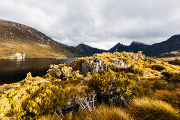 Sticker - Stormy Cradle Mountain in Tasmania Australia