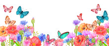 Invitation Banner With Lovely Summer Flowers. Watercolor Painting. Png