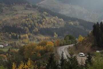 Wall Mural - Colorful Trees in Autumn Season.artvin